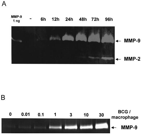 FIG. 1