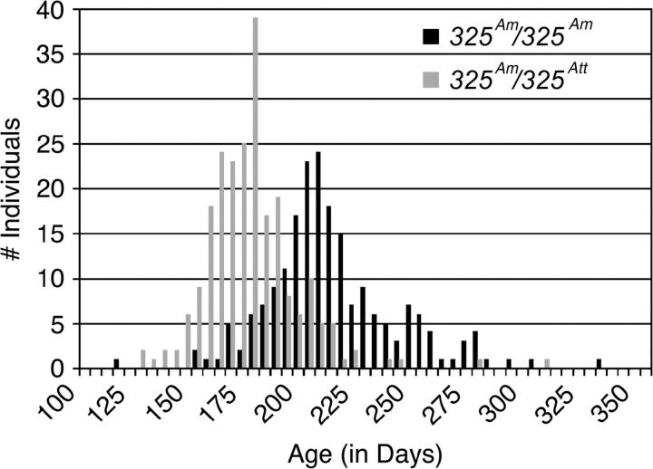 Figure 3.—