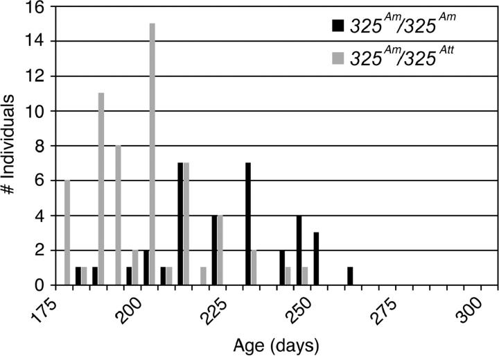 Figure 4.—