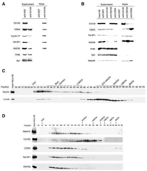 FIG. 7.