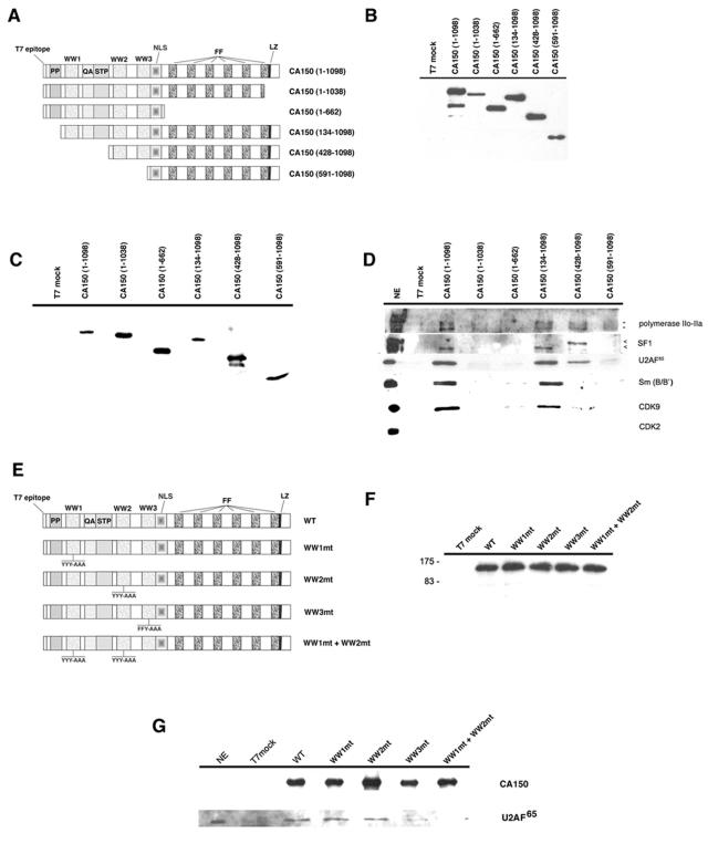 FIG. 8.