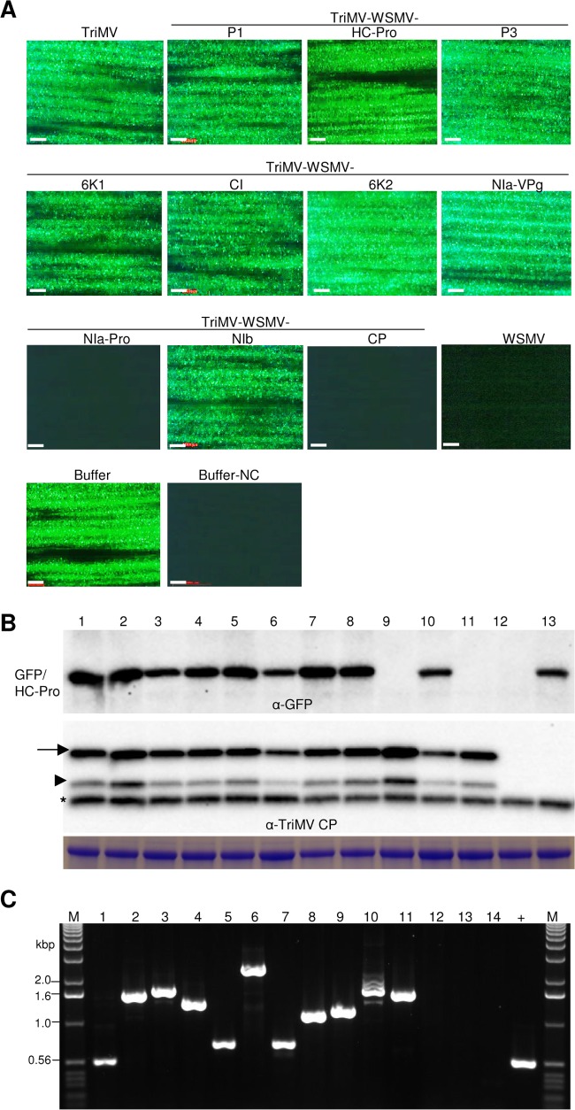 FIG 4