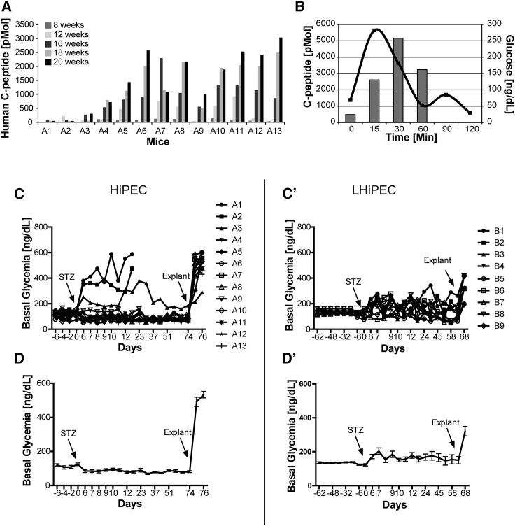 Figure 7