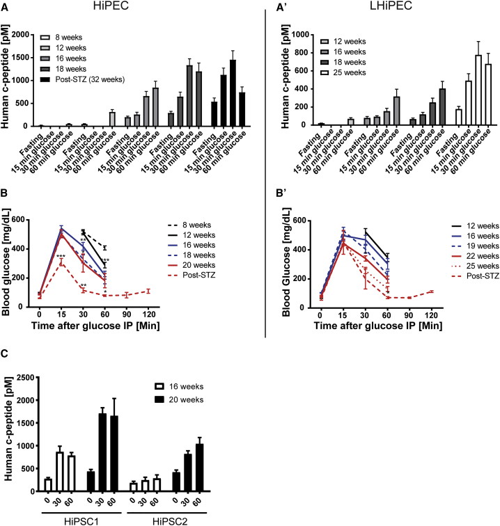 Figure 3