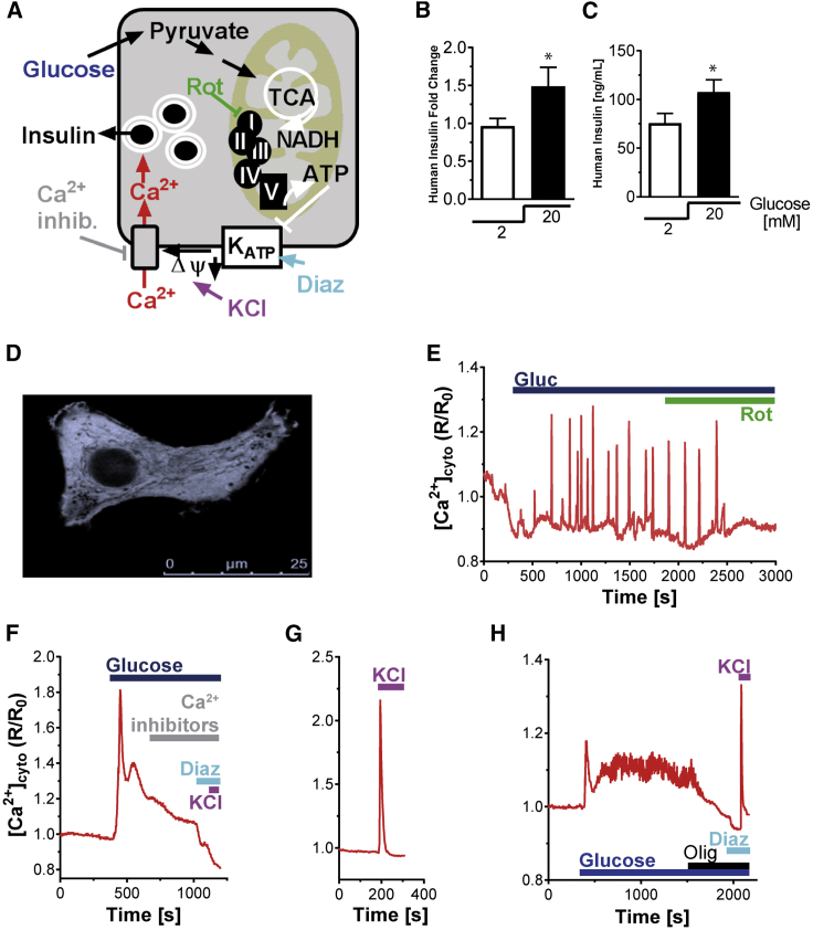 Figure 6