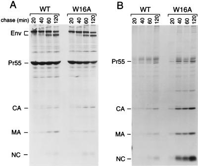 FIG. 6