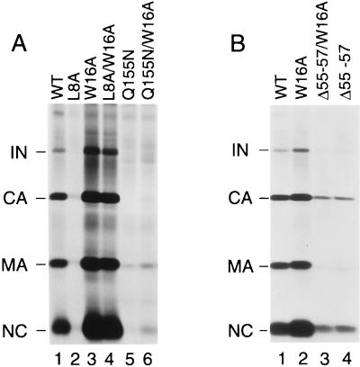 FIG. 8