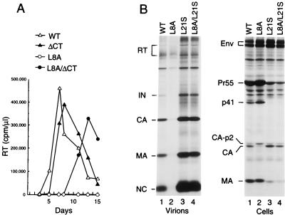 FIG. 9