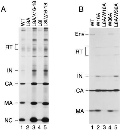 FIG. 5