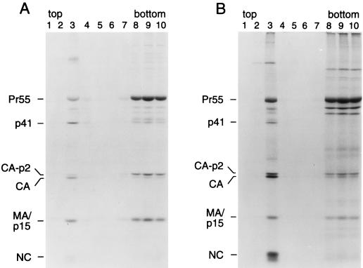 FIG. 7