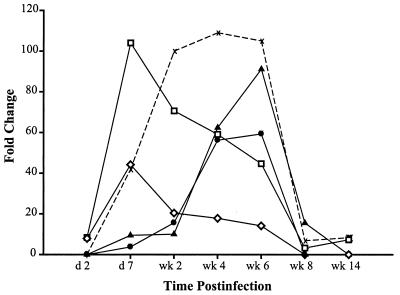 FIG. 3