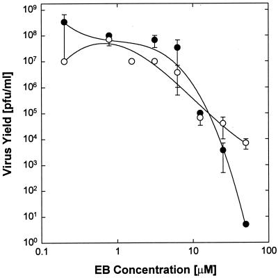 FIG. 5