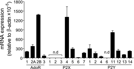 Fig. 4.