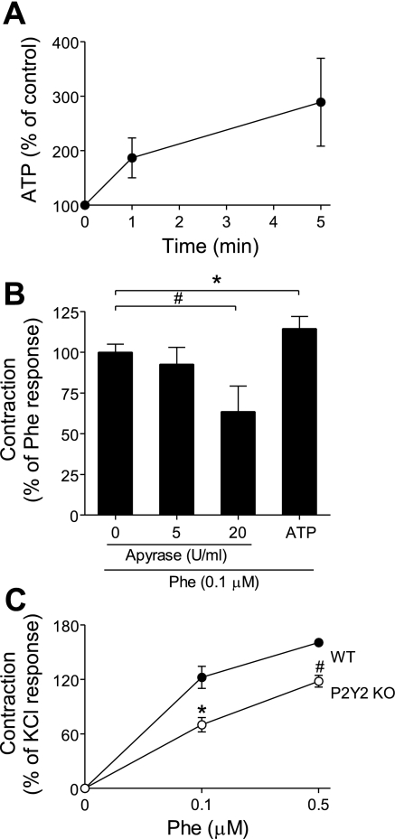 Fig. 8.