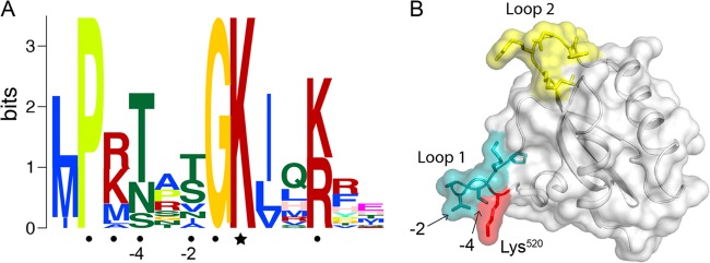 FIG 6