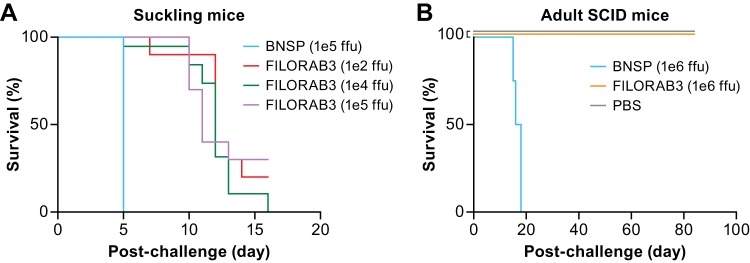 FIG 4