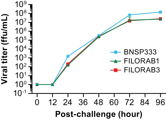 FIG 2