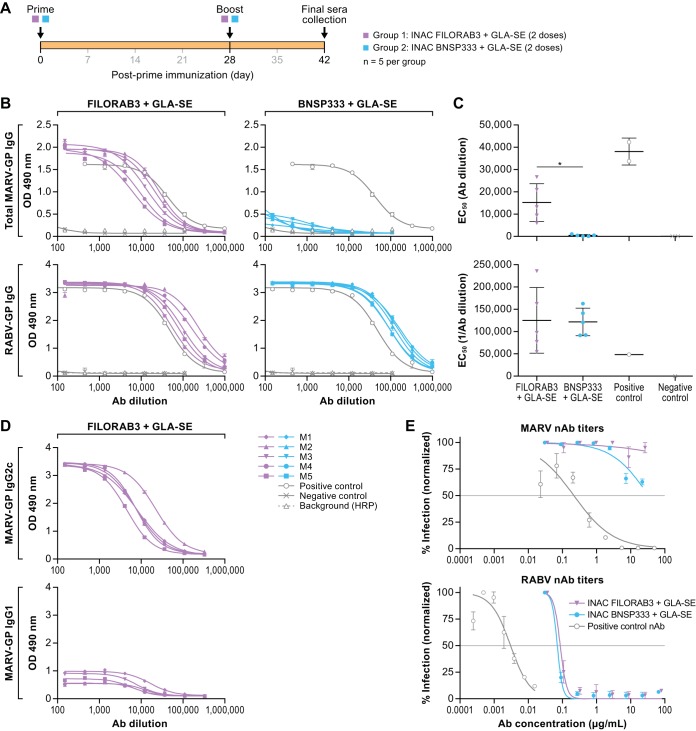 FIG 6