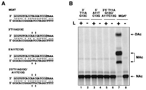 FIG. 5.