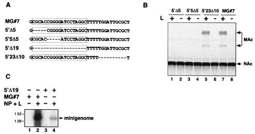 FIG. 3.