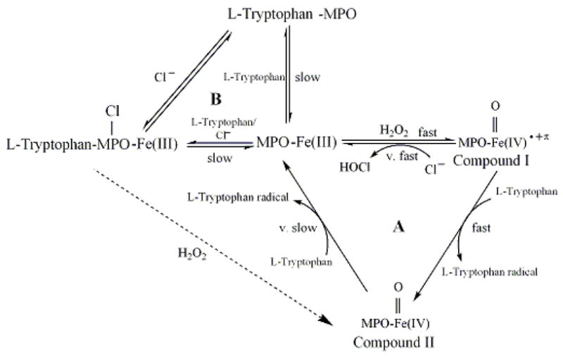 Fig. 9