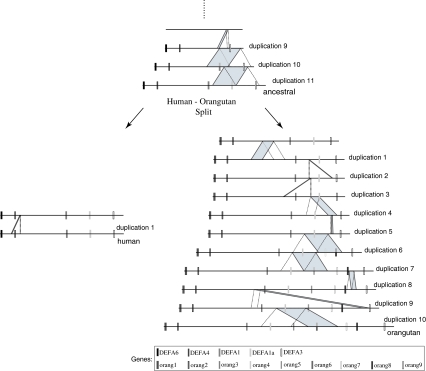 FIG. 7.