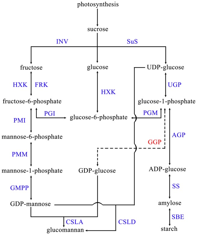 Figure 8