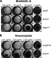 FIG 6