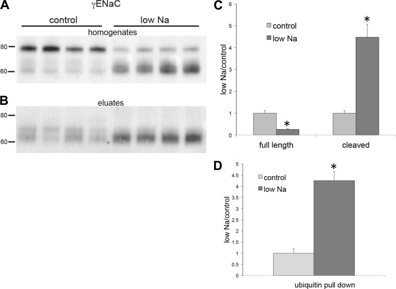 Fig. 7.