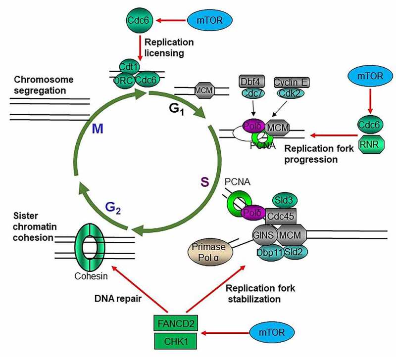 Figure 2.