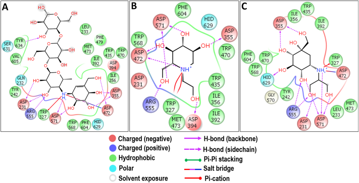 Figure 12