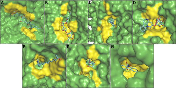 Figure 17