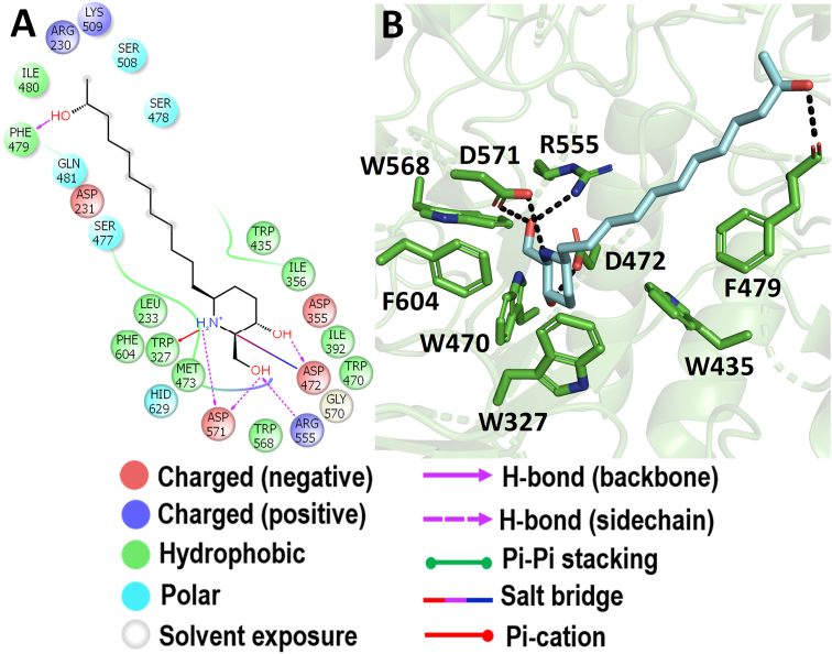 Figure 11