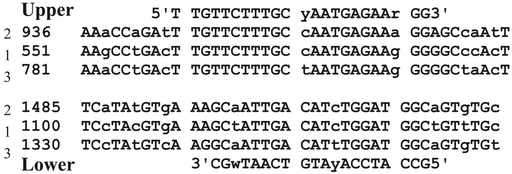 FIGURE 1