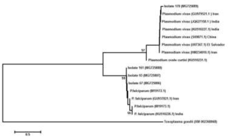 Fig. 3: