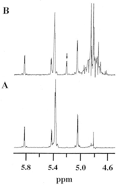 FIG. 5