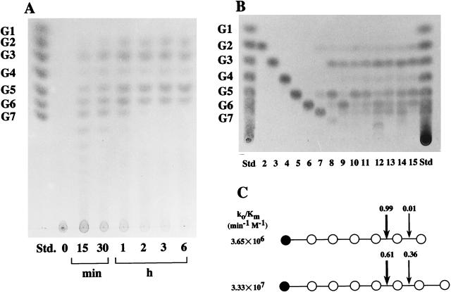 FIG. 4