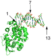 Figure 6