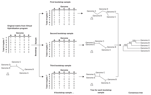 Figure 5