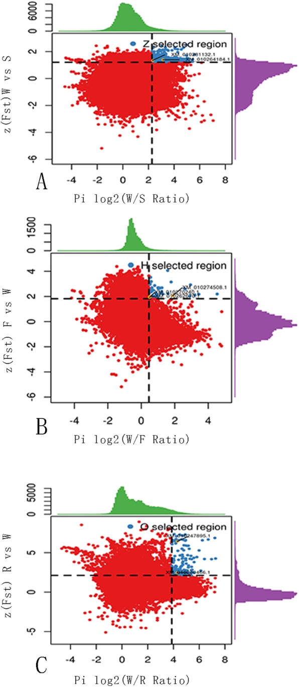 Fig. 3