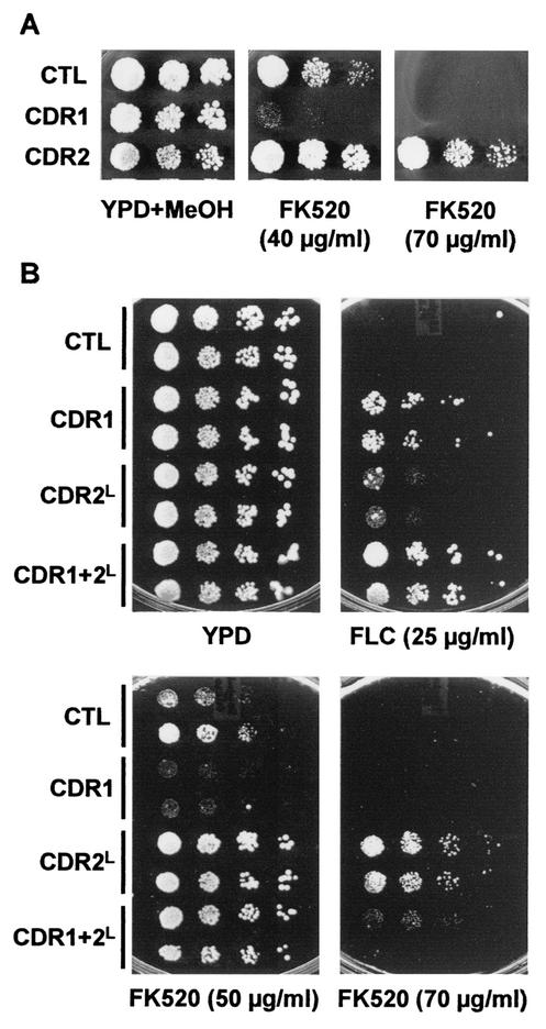 FIG. 4.