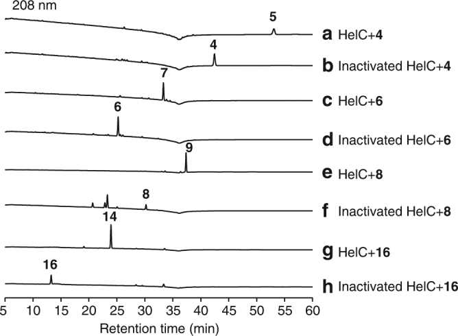 Fig. 6