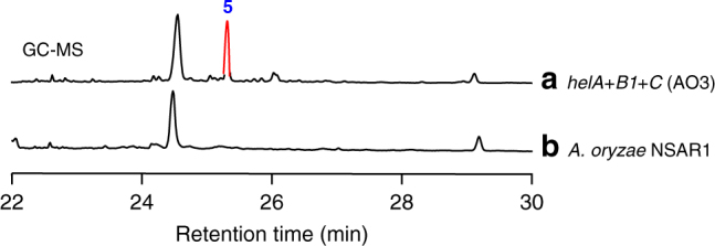 Fig. 3