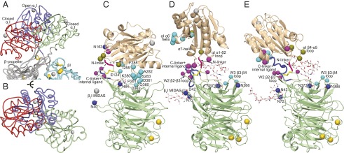 Fig. 2.