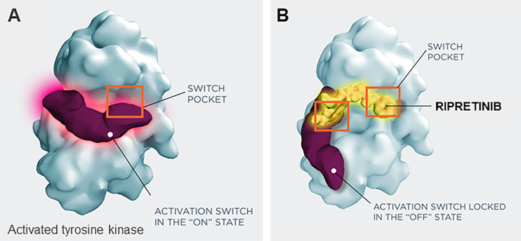 Figure 2