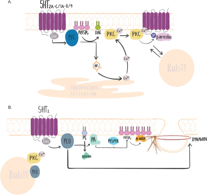 Fig. 2.