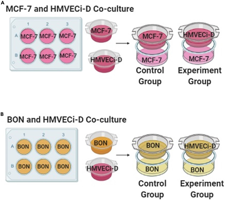 Figure 3