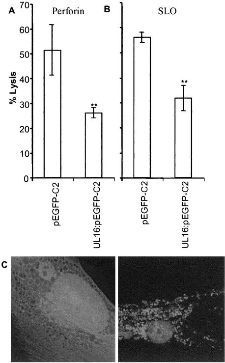 FIG. 5.