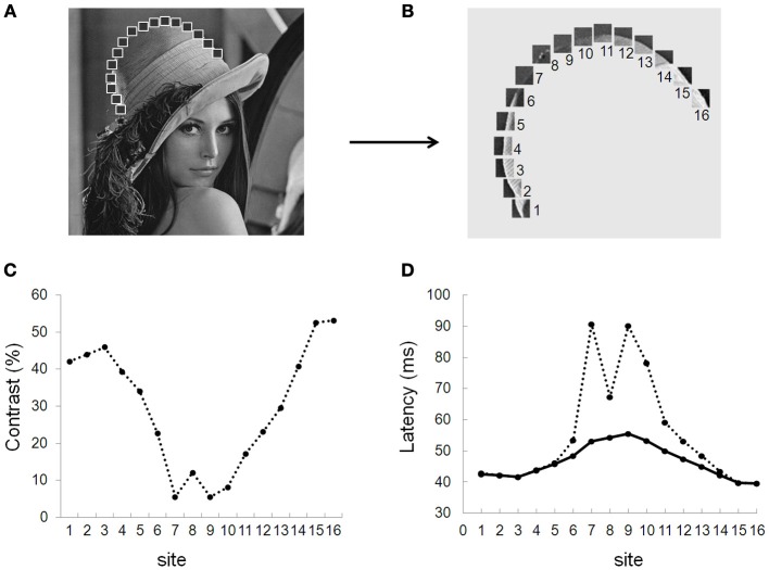 Figure 7