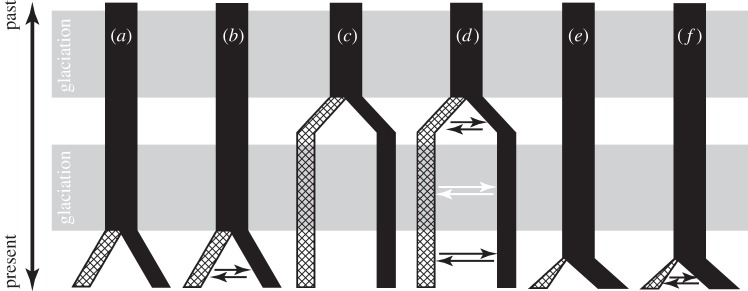 Figure 1.